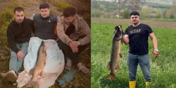 Antalya’da kuyuya düşen 7 yavru köpeği itfaiye kurtardı