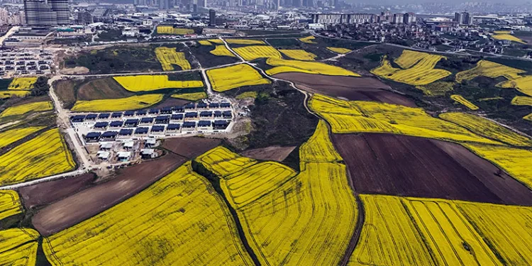 Çanakkale’de hıdırellez kutlaması