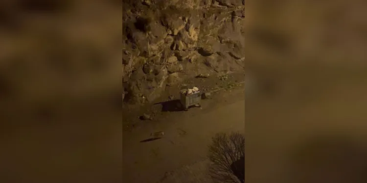 Sivas’ta nesli tehdit altındaki su samuru görüntülendi