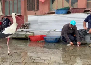Yaren’den sonra Bilal Leylek de baba oldu