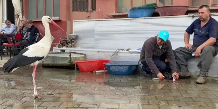 Yaren’den sonra Bilal Leylek de baba oldu
