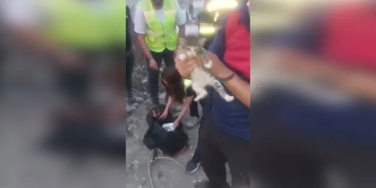 Doğa yürüyüşünde kaybolan Çevre ve Şehircilik İl Müdür Yardımcısını arama çalışmalarına 100 kişilik ekip sevk edildi