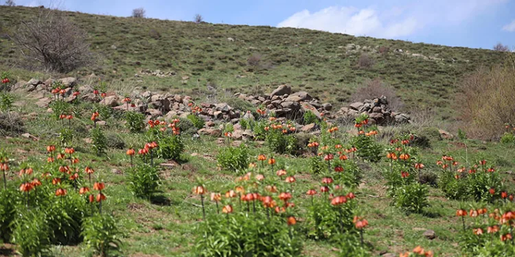 Aliağa’da 15 bin ton tehlikeli atık etrafa saçılmış
