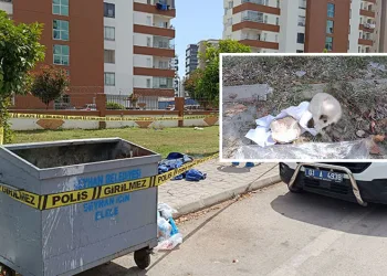 Çöp konteynerinden insan kafatası çıktı
