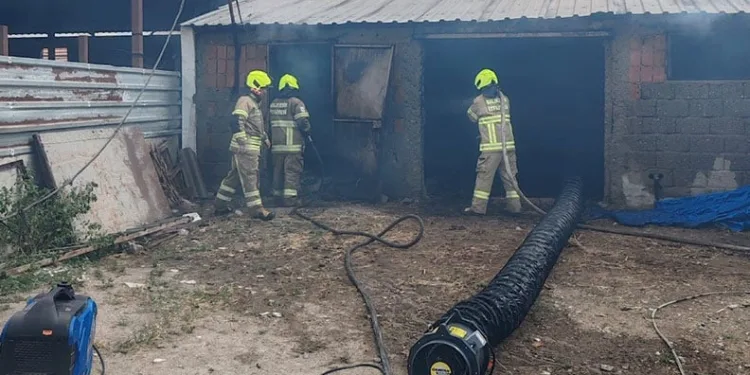Balıkesir’de ahırda çıkan yangında 42 küçükbaş hayvan telef oldu
