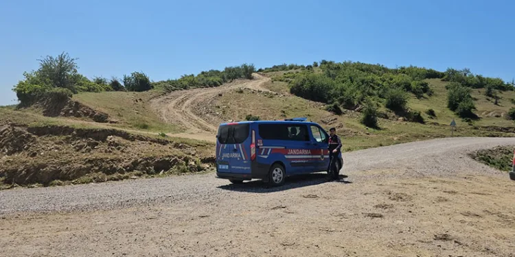 Çalınan 4 büyükbaş hayvan sahibine teslim edildi