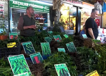 Bursa’da yolcu otobüsü düğün konvoyuna girdi, konvoyda tehlikeli anlar yaşandı