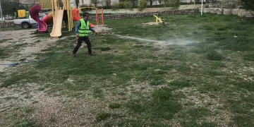 Sivas’ta nesli tehdit altındaki su samuru görüntülendi