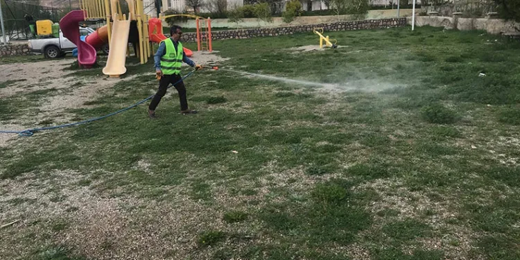 Sivas’ta nesli tehdit altındaki su samuru görüntülendi