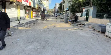Elazığ’da larva ile mücadele çalışmaları sürüyor