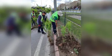 Elazığ’da larva ile mücadele çalışmaları sürüyor