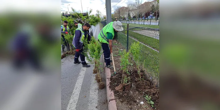 Elazığ’da larva ile mücadele çalışmaları sürüyor
