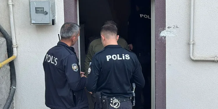İzinsiz zeytin toplayan 11 şüpheli yakalandı