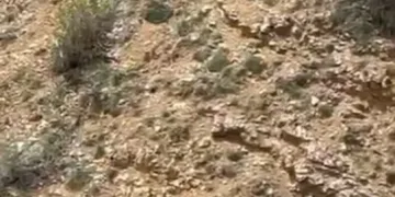 Bakan Kurum, AK Parti Malatya İl Başkanı’nın sağlık durumu hakkında bilgi aldı
