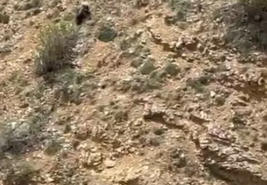 Bakan Kurum, AK Parti Malatya İl Başkanı’nın sağlık durumu hakkında bilgi aldı