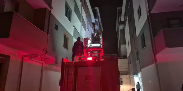 Hafif ticari aracın çarptığı kadın hayatını kaybetti