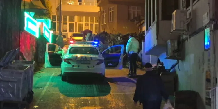 Hafif ticari aracın çarptığı kadın hayatını kaybetti
