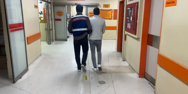 Hafif ticari aracın çarptığı kadın hayatını kaybetti