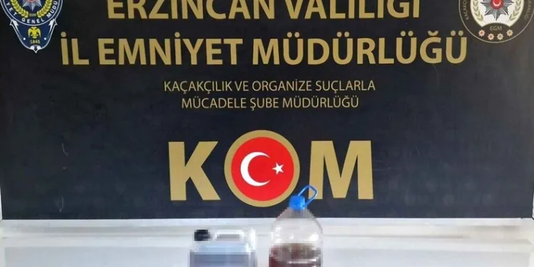 Hafif ticari aracın çarptığı kadın hayatını kaybetti