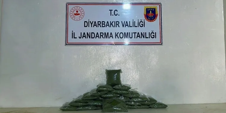 Samsun merkezli 24 ilde müstehcenlik operasyonu: 45 gözaltı