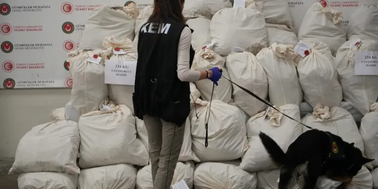 Samsun merkezli 24 ilde müstehcenlik operasyonu: 45 gözaltı