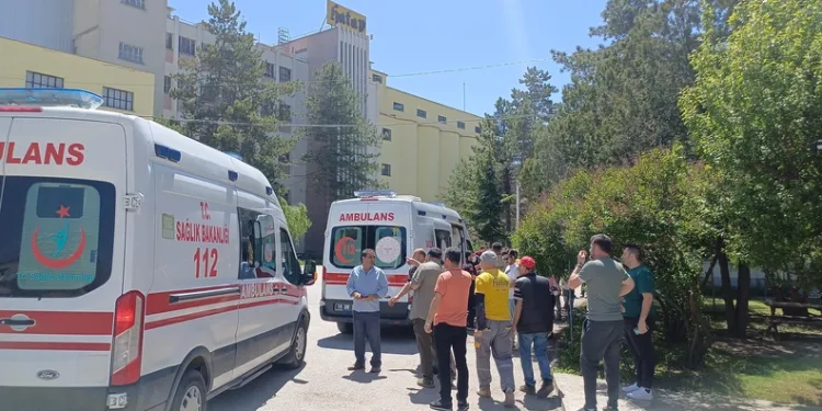 Samsun merkezli 24 ilde müstehcenlik operasyonu: 45 gözaltı