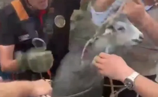 Kayseri’de 70 kilo kaçak tütün yakalandı