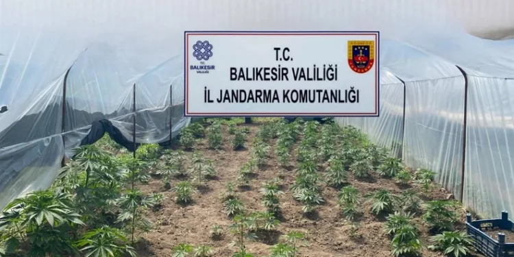 Yolun karşısına geçmek için beklerken 3 kişi tarafından tekme tokat dövüldü