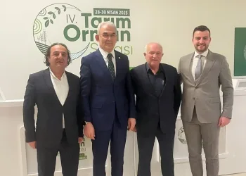 Ahşap