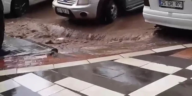 Sinop’ta 3 araçlı zincirleme kaza: 2 yaralı