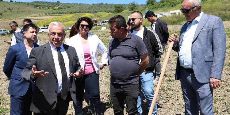 Nilüfer Belediyesi