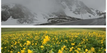 Ailelerine gururu yaşattılar