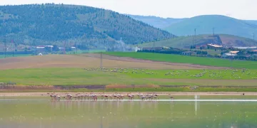 Ailelerine gururu yaşattılar