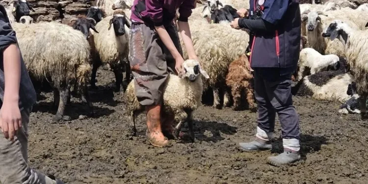 Ailelerine gururu yaşattılar