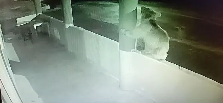 Polis memurları hayatlarını birleştirdi, nikaha Vali Yiğitbaşı şahitlik etti