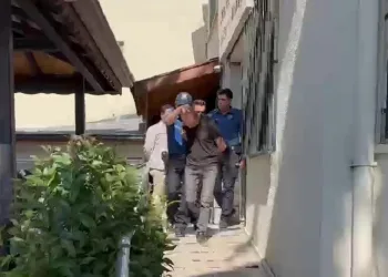 Bursa