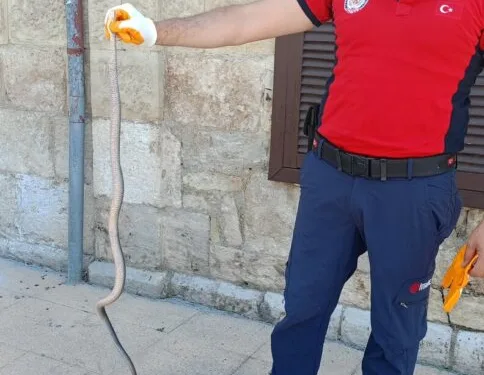 Iğdır’da uyuşturucu operasyonu: 10 şüpheli tutuklandı