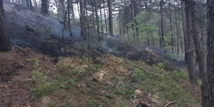 Tutak’ta muhtar trafik kazasında hayatını kaybetti