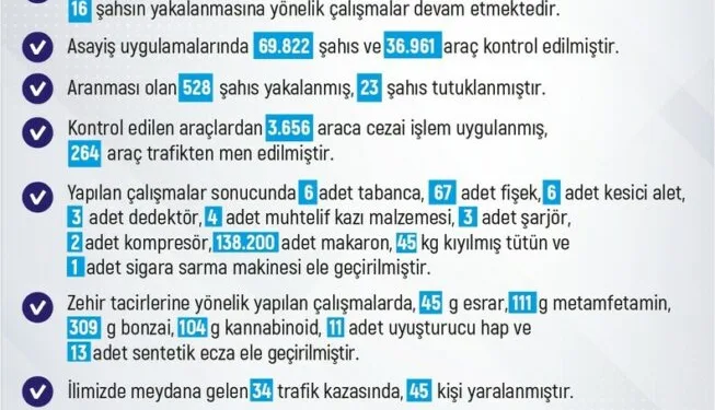 Tunceli’de ayı dehşeti: Bir kişi yaralandı, 31 küçükbaş hayvan telef oldu