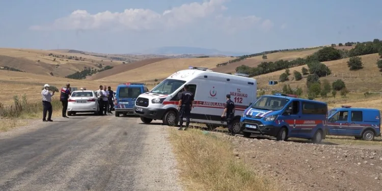 Tunceli’de ayı dehşeti: Bir kişi yaralandı, 31 küçükbaş hayvan telef oldu