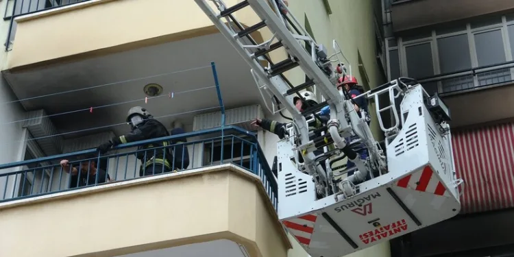 Tunceli’de ayı dehşeti: Bir kişi yaralandı, 31 küçükbaş hayvan telef oldu