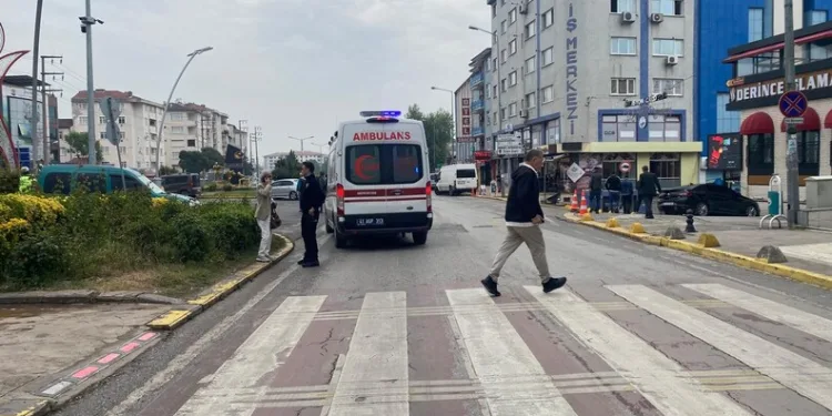 Tunceli’de ayı dehşeti: Bir kişi yaralandı, 31 küçükbaş hayvan telef oldu