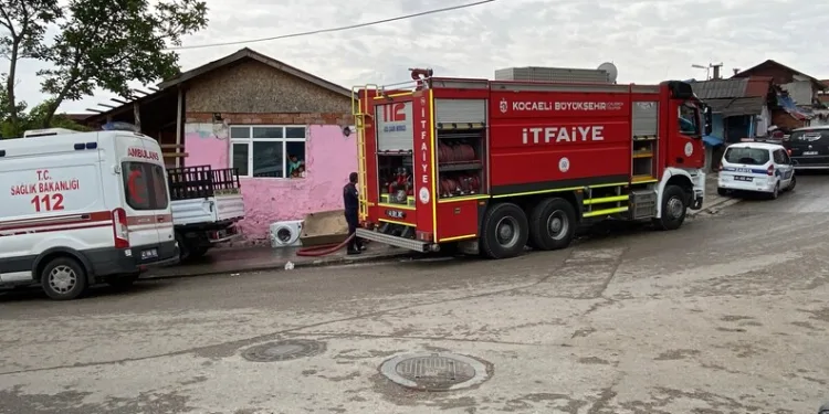 Tunceli’de ayı dehşeti: Bir kişi yaralandı, 31 küçükbaş hayvan telef oldu