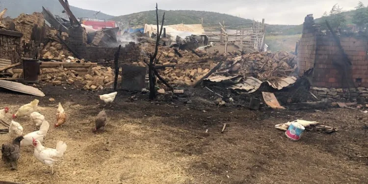 Yakalanınca çalışanın parmağını ısıran hırsız yere yatırılarak etkisiz hale getirildi
