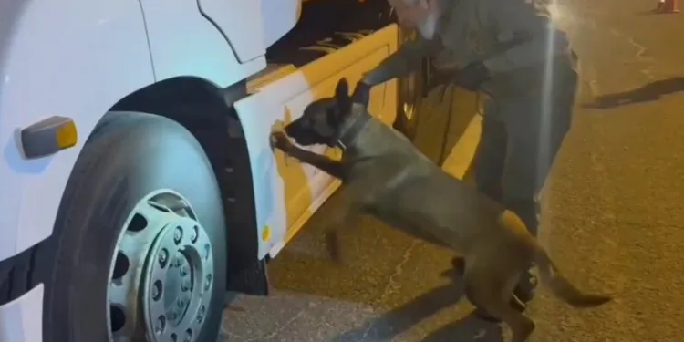 Amasya’da sulama kanalında boğulan çocuk defnedildi