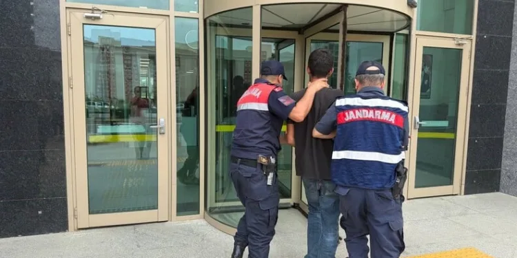 Pizzacıdaki cinayetin sanığına ceza yağdı