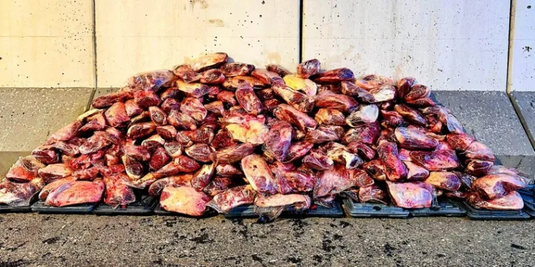 Jandarma 1 ton 700 kilo mühürsüz et ele geçirdi