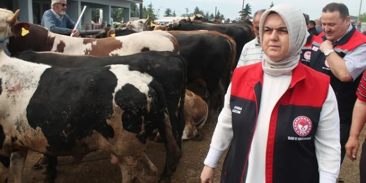Vanlı aileler: “Artık bu ülkede şehit haberleri almak istemiyoruz”