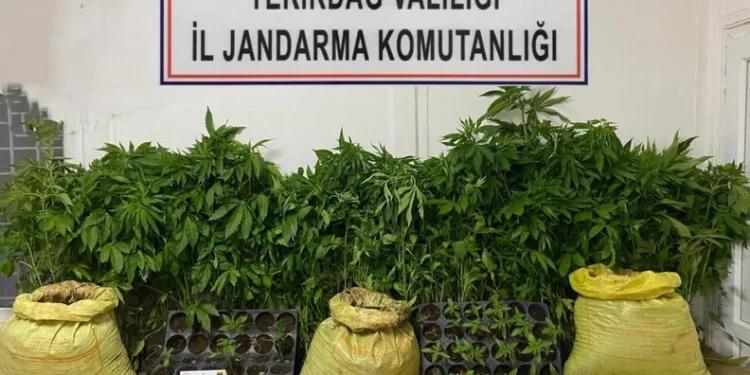 Bayrampaşa’da sosyal medyadan tanıştığı kadınları gasp eden zanlı kamerada