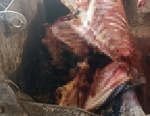 Sinop’ta mantar zehirlenmesi